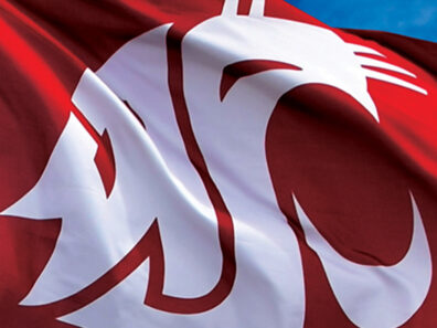 A close-up of a flag with the WSU logo on it.