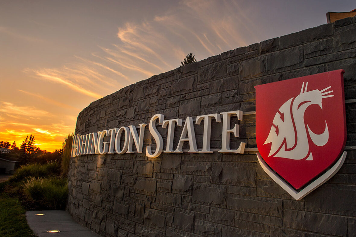 A Washington State University sign with logo an a brick wall at sunset.