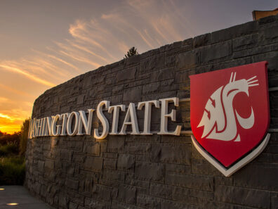 A Washington State University sign with logo an a brick wall at sunset.