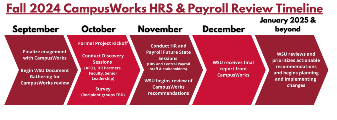 A graphic depicting a simplified timeline of the review process throughout Fall 2024. 