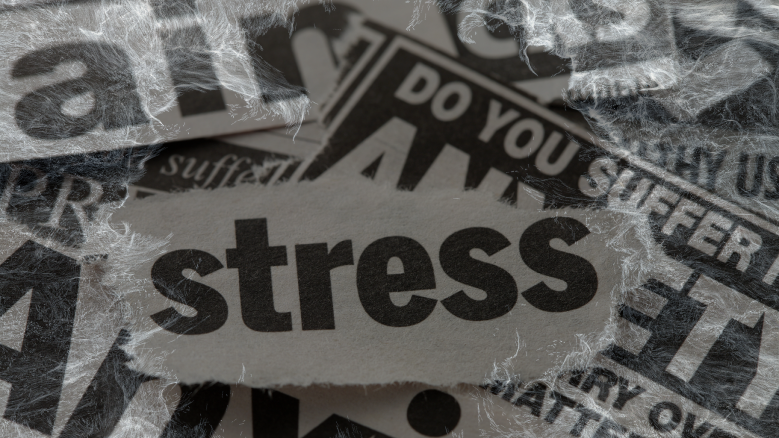 Stress Awareness A Global Initiative for Wellbeing Human Resource