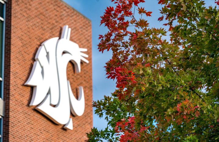 WSU logo on side of brick building with fall leaves in the forefront.